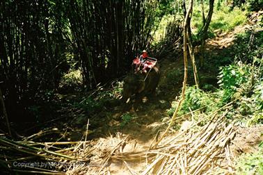 24 Thailand 2002 F1000011 Khao Lak Elefantenritt_478